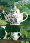 Emma Bridgewater Books